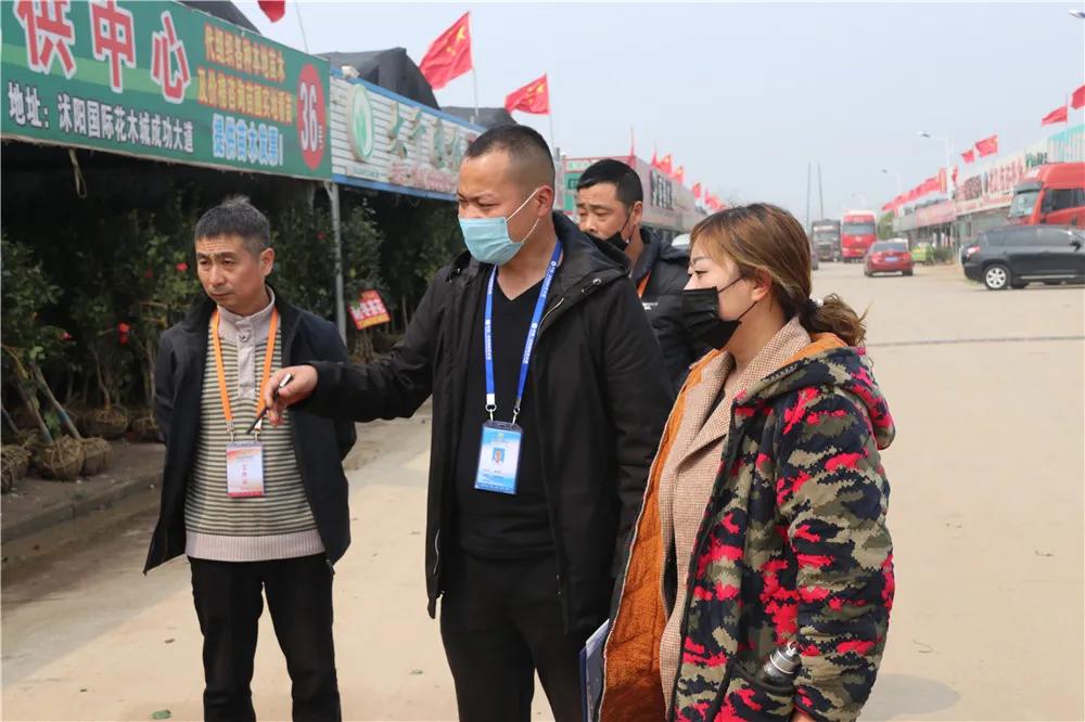 宿迁市沭阳县沭阳国际花木城,沭阳国际花木城布局