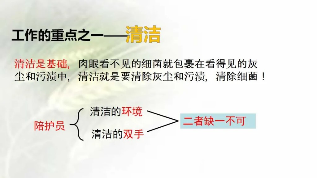 课件-陪护人员医院感染知识培训