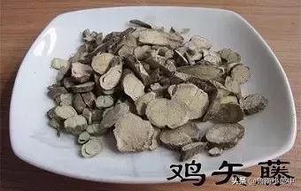这些与“鸡”有关的中药,你见过几种?