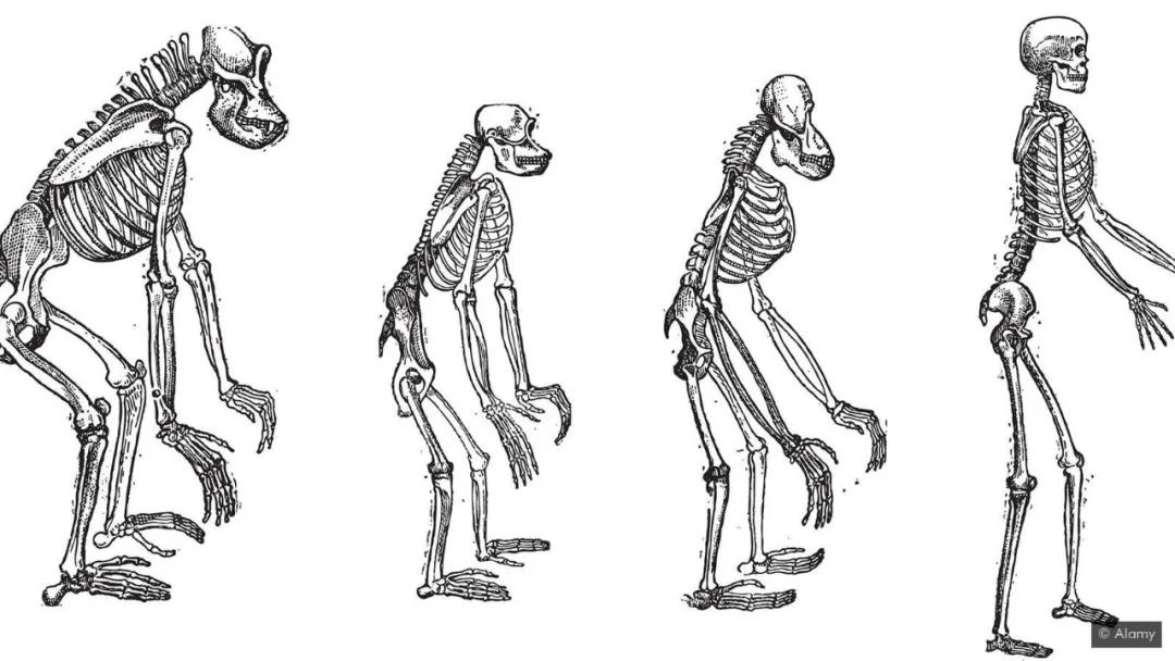 乔治艾略特,乔治艾略特小说