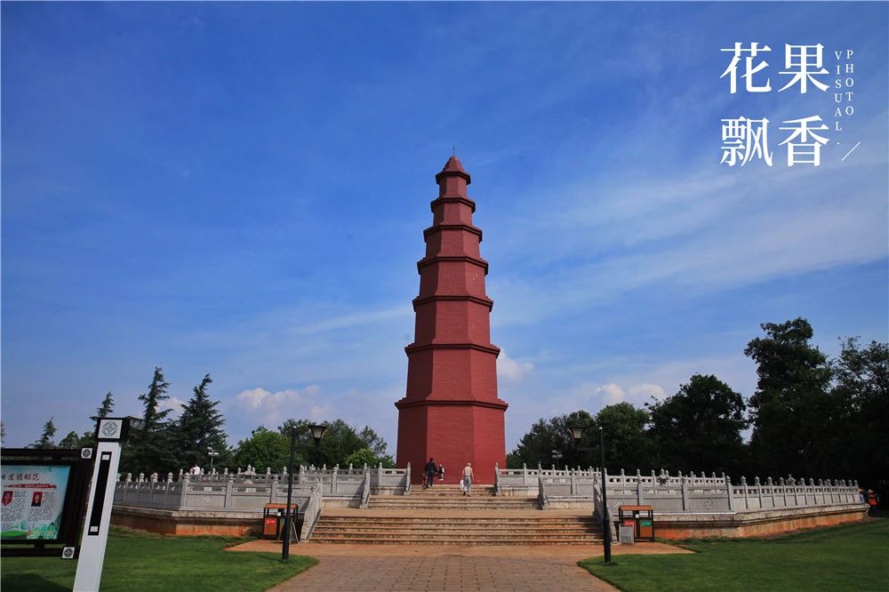 上市最早，收益最高，风险最大，果园投资的子午谷奇谋可取吗？