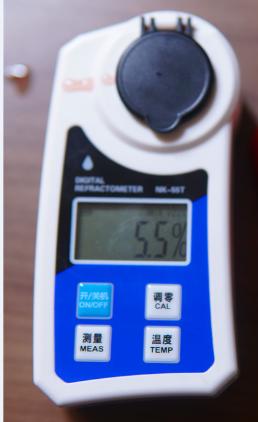 如何在网上买到真草莓,怎么在网上买正宗丹东草莓