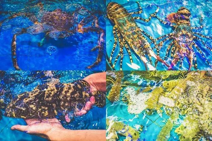 三亚出游的攻略路线怎么走得快些,三亚旅游新路线