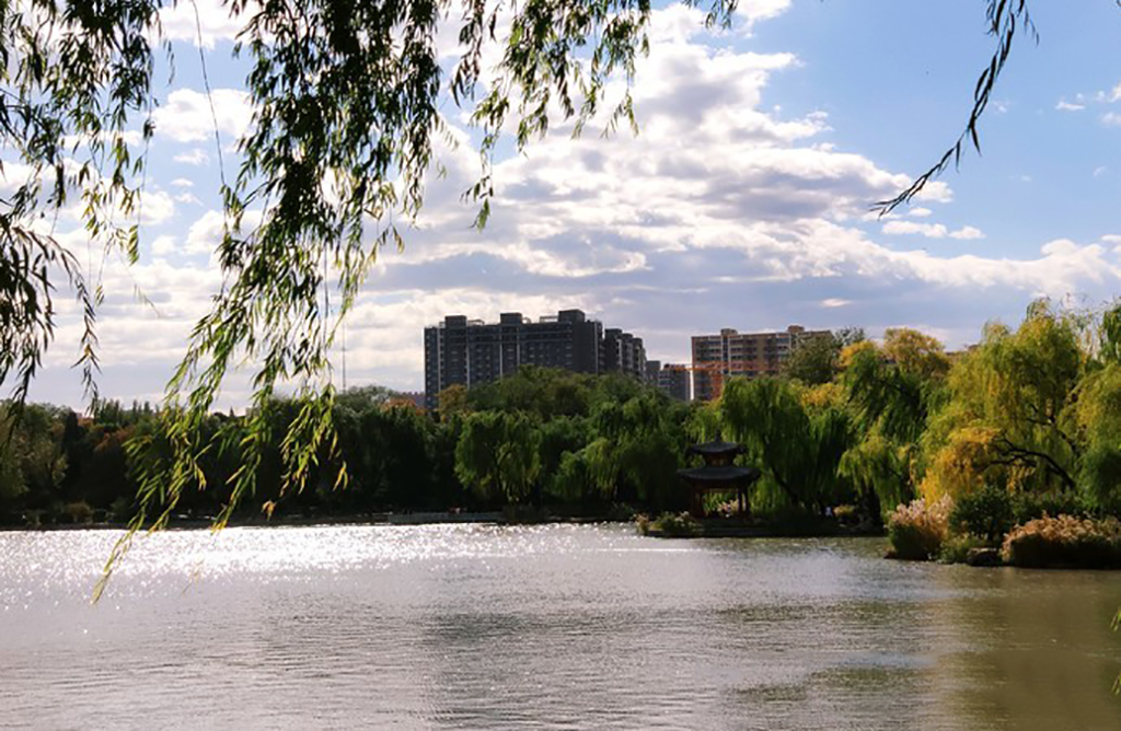 北京紫竹院公园里有什么景点,北京一日游海淀区紫竹苑风景优美
