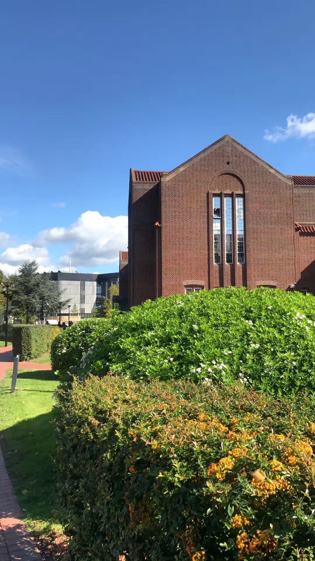 南安普顿大学为什么这么好?