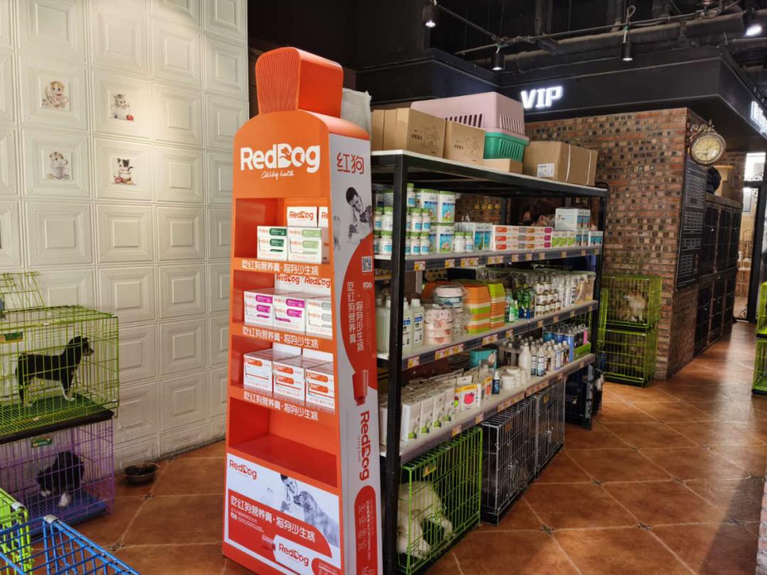 北京月流水超百万的猫狗活体专卖店,都有啥套路?