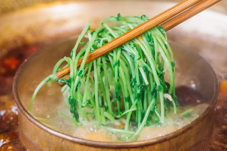 把菜园搬到餐厅,把菜园搬到家门口