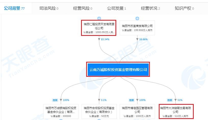 政府背景基金开始入局翡翠直播行业
