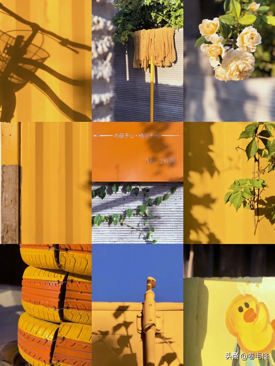 手机拍大片人像,如何拍手机照片最好看