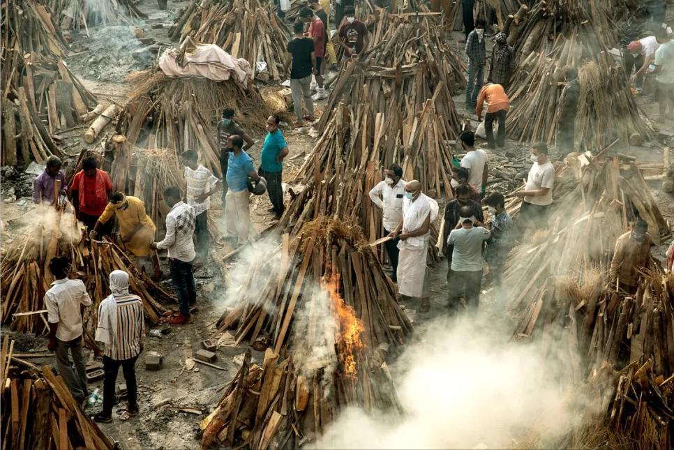印度毒王最新信息,印度毒王视频