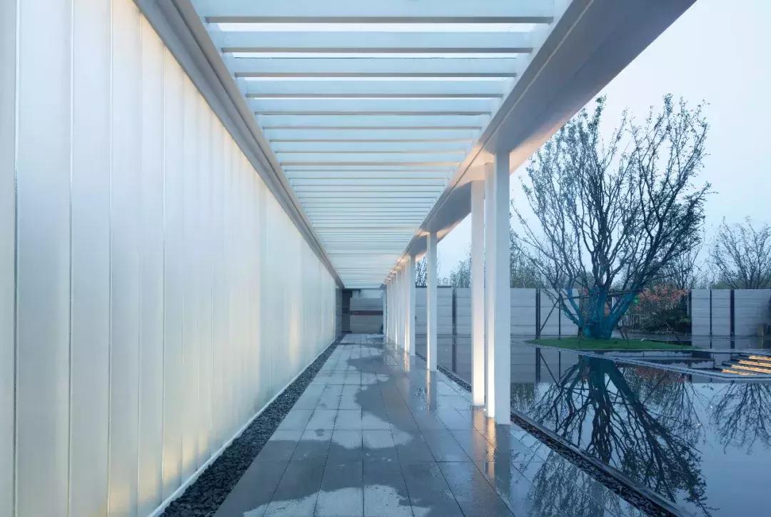 盘点郑州这些C位出道的热盘