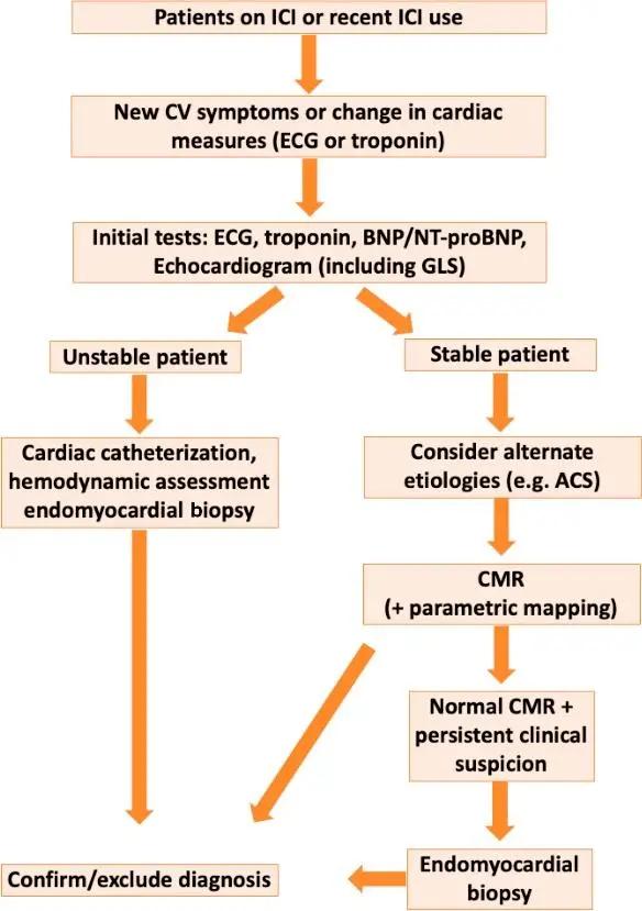 解读癌症治疗与心血管毒性,肿瘤治疗的综述