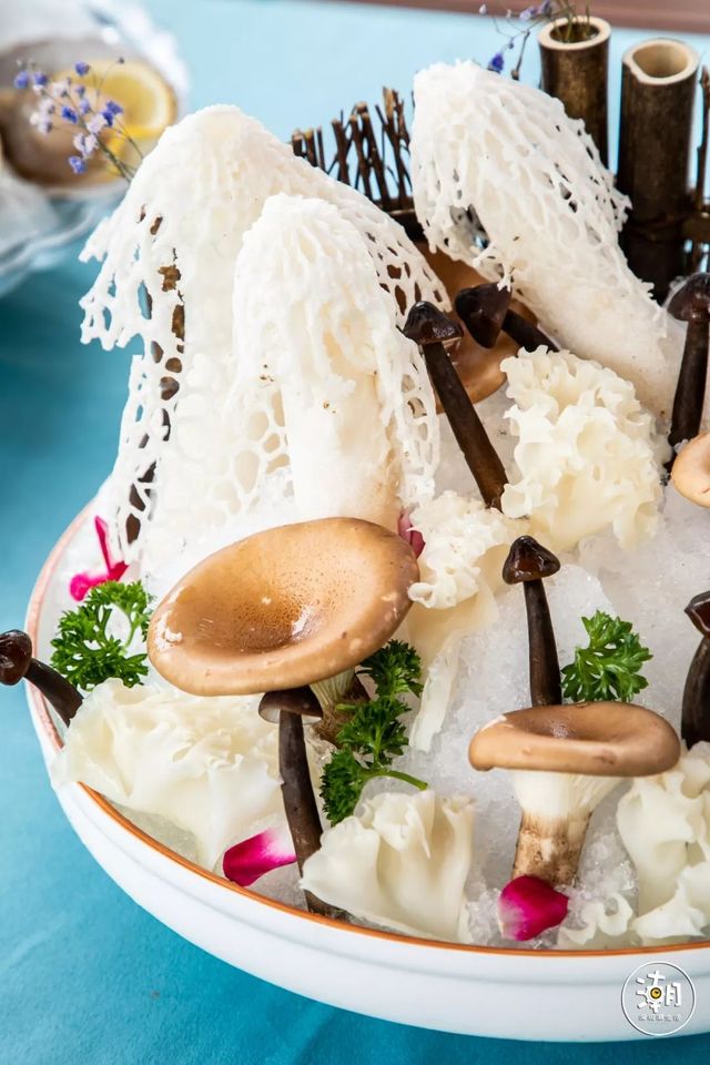 好吃又养生的花胶鸡,秋冬必打卡的养生花胶鸡