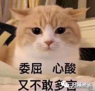 那些玩密室逃脱的爆笑场面,盘点密室逃脱里的爆笑场面