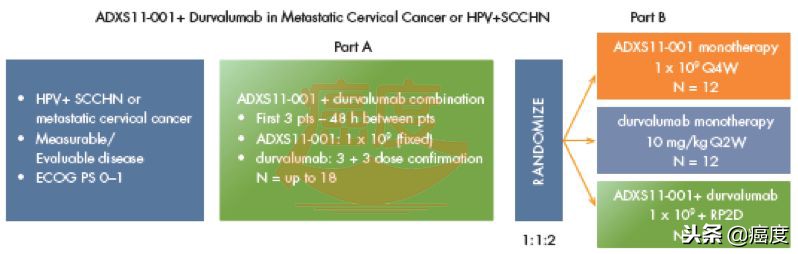 hpv疫苗能预防艾滋病吗,2价hpv大肠杆菌疫苗是预防什么