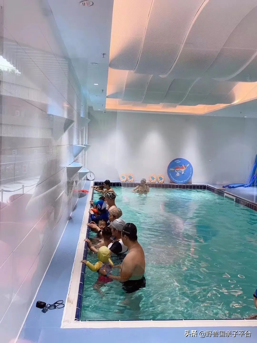 少儿篮球运动哪家好,权威少儿篮球兴趣班机构排名