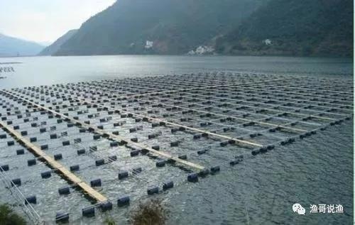 水产养殖喂料技巧,水产养殖用药大全图解