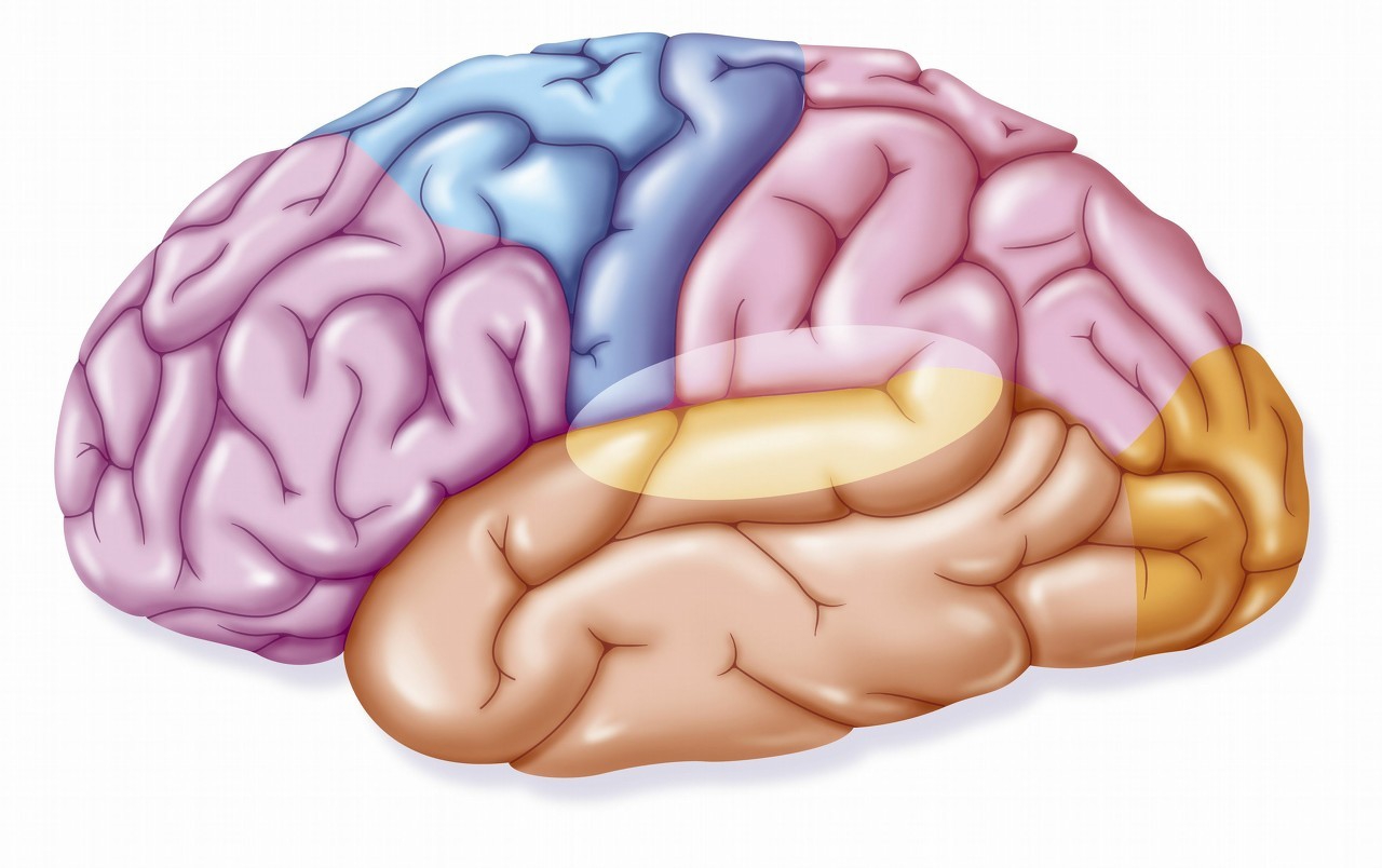 羊癫疯丸治疗效果怎么样,羊癫疯怎么治疗