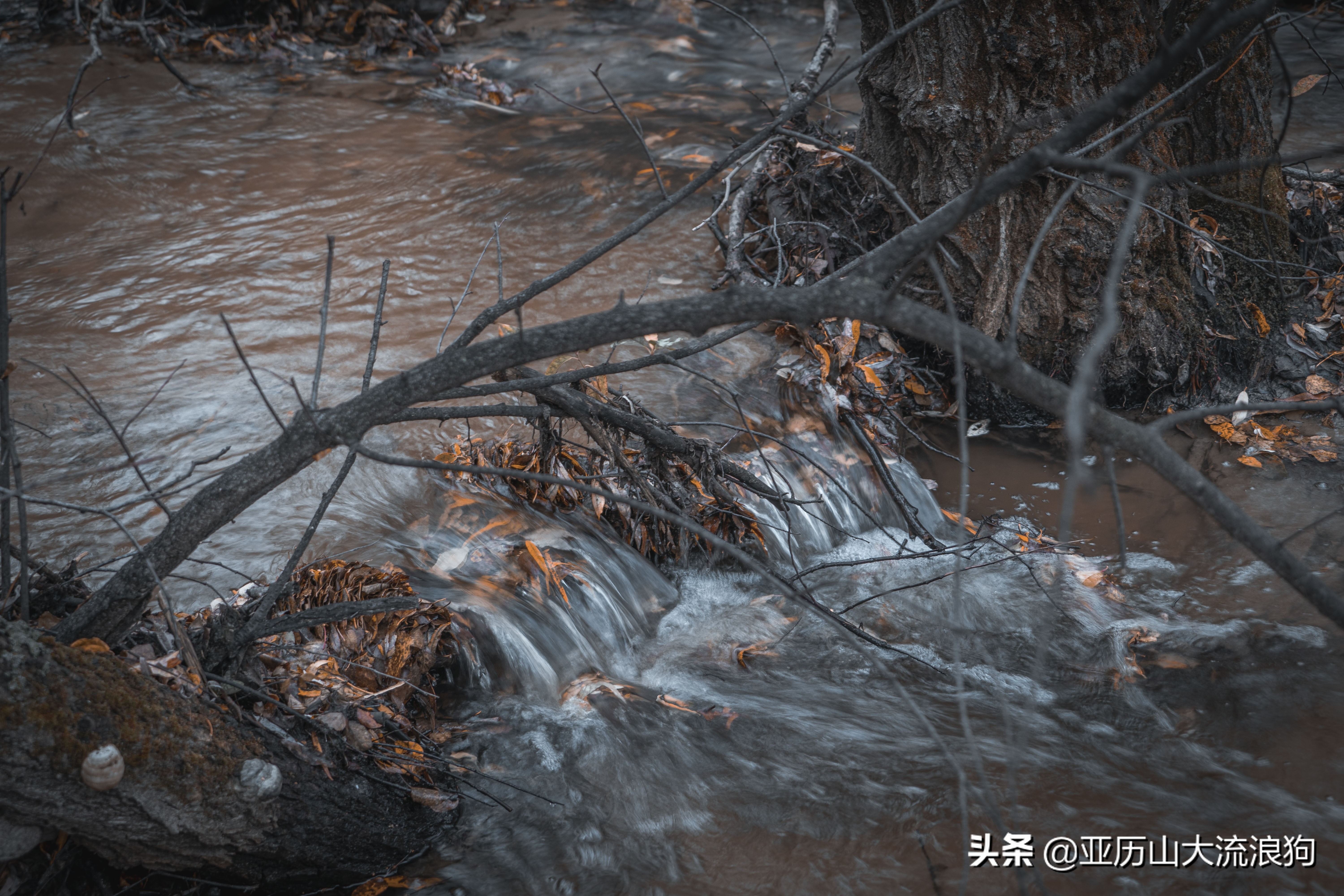 你那秋天来了吗？我这反正颜料泼了一地——内蒙古黄岗梁穿越之旅