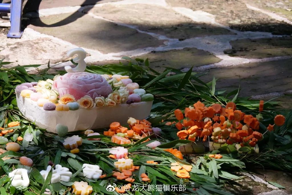 为什么全世界都喜欢大熊猫,世界各地的人们都喜爱大熊猫英语