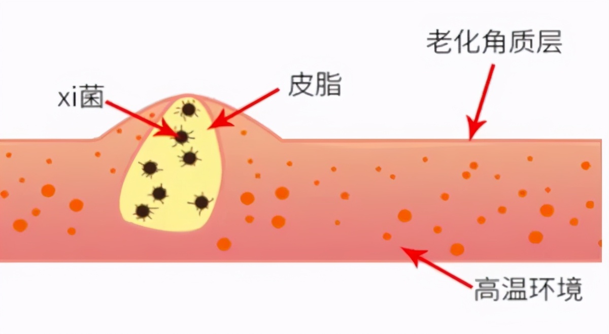 洗澡用什么洗才好用,洗澡洗头最快的洗法
