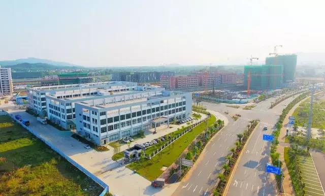 河源市现在发生什么情况,河源重大事件