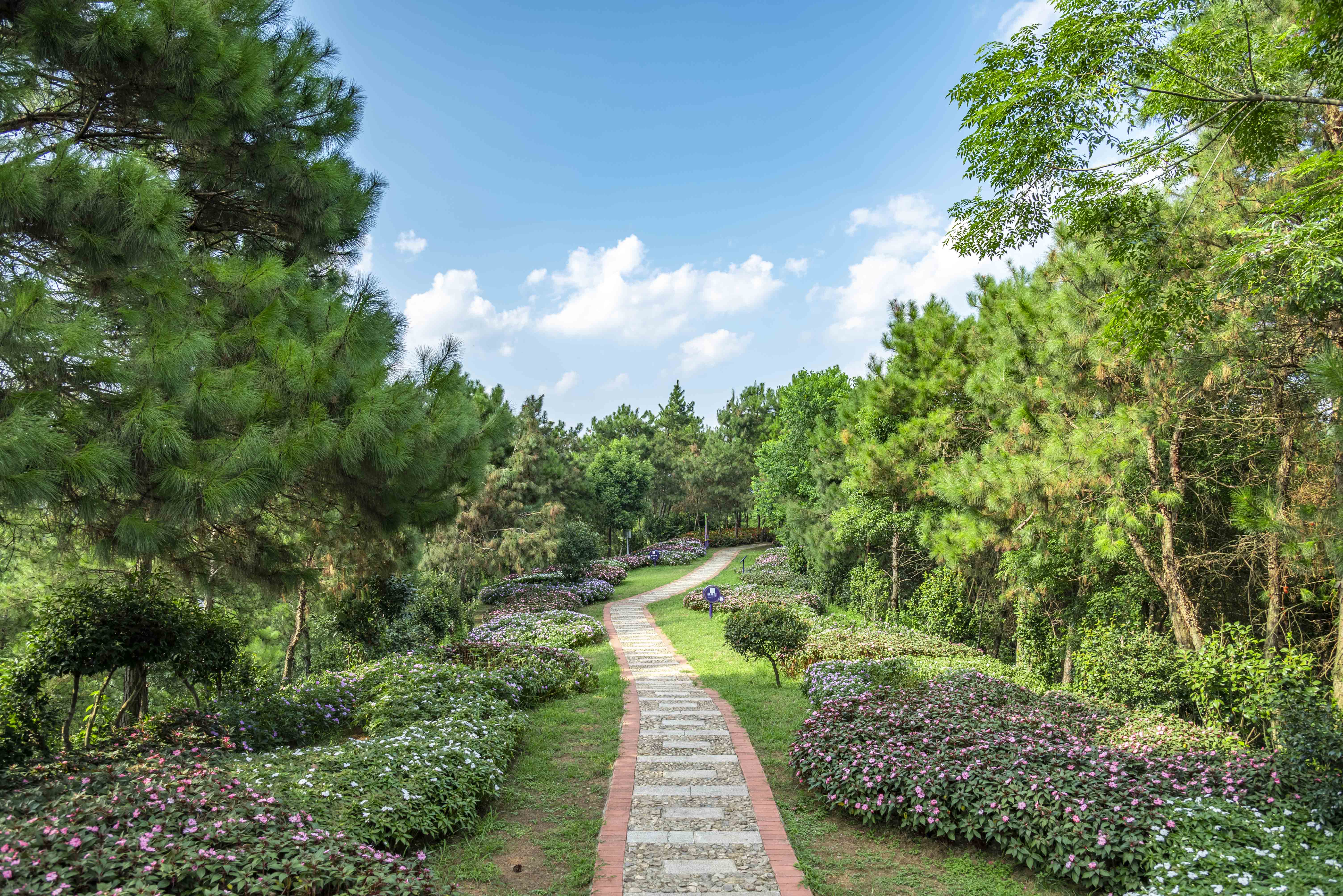 湖北毕业旅行,最适合毕业旅游的旅游景点