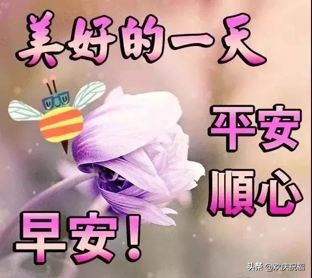 最新早上好问候祝福语带字的图片,周三早上好问候祝福语最新版