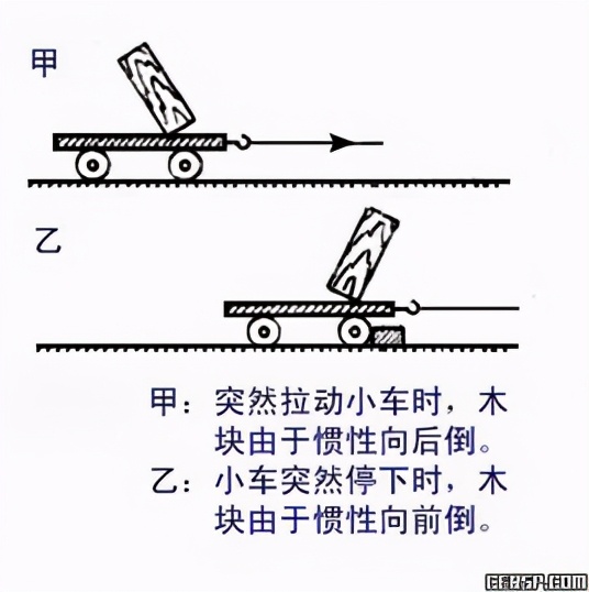 “鸡子”对“奇点”,惯性、对立统一、轮回,提示你宇宙的真相