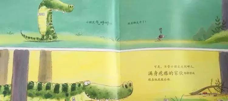 悦宝园主题课程推荐:鳄鱼|AlligatorsandCrocs