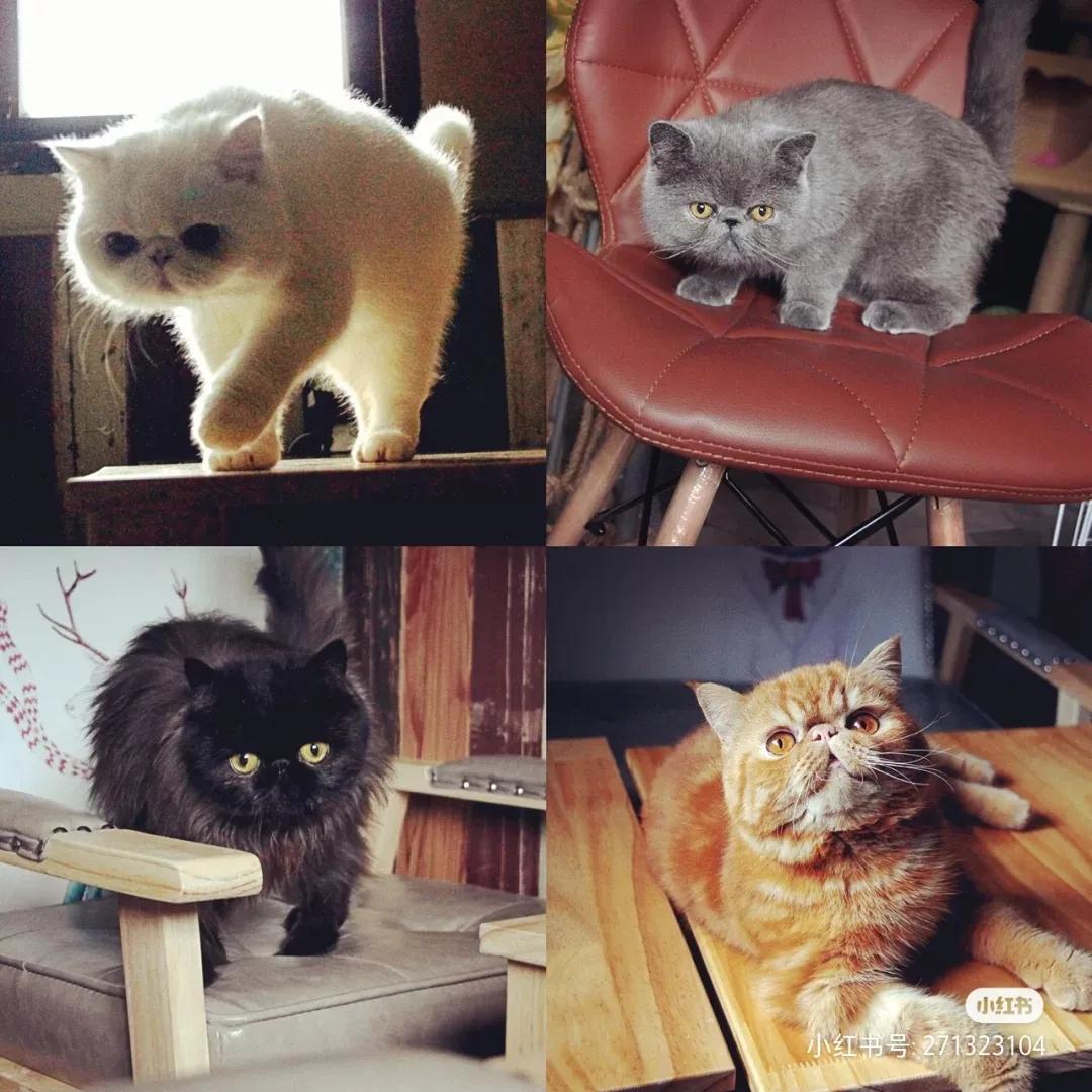 炎热的夏天，社畜需要一个安静的小酒馆