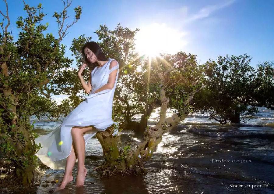 湛江一日游最佳景点湛江特呈岛,特呈岛湛江旅游攻略