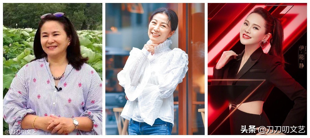 当年红极一时中国组合,红极一时的女子双人组合