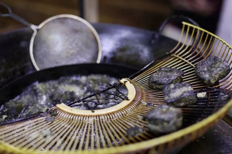 活化石的大鲵,大鲵为什么被称为活化石