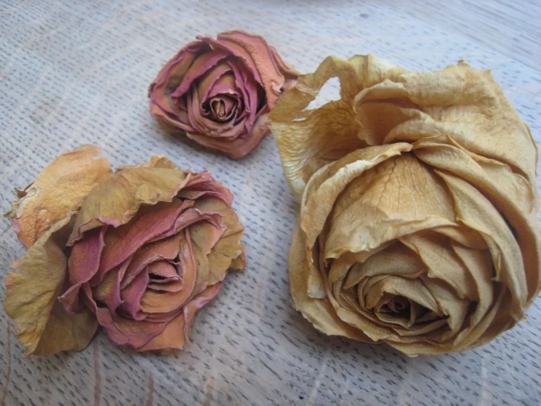 家里干花的制作方法,在家里如何用简单的材料做干花