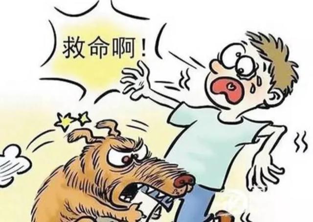 中国养狗的规矩,全国最严养狗条例