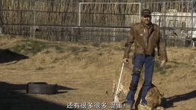 疫情中全美国都在安利这疯子电影