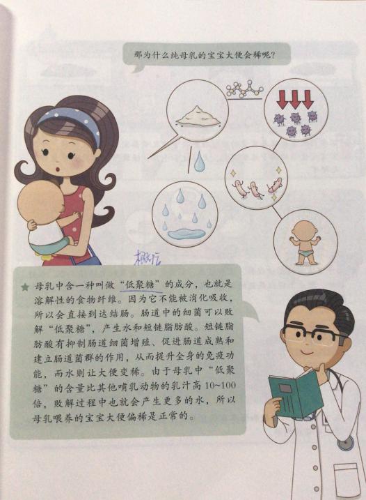 母乳喂养妈妈拉肚子宝宝也会拉吗,母乳喂养妈妈拉肚子宝宝什么感觉