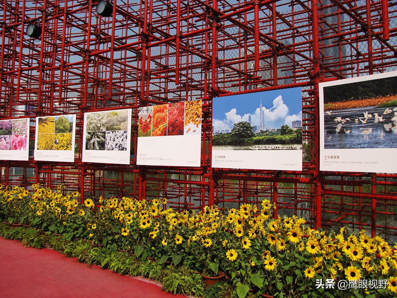 广州国际花博会2018年开幕,第28届广州园博会花城看花