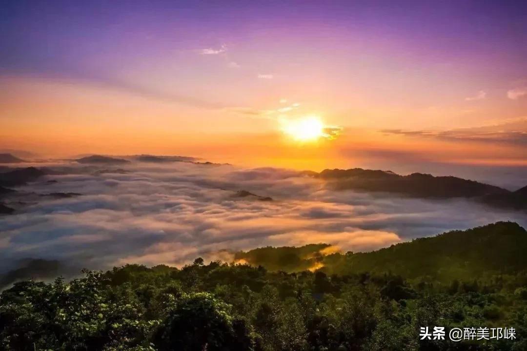 为什么有的人投资眼光很准,为什么越来越多的资本想投资酱酒