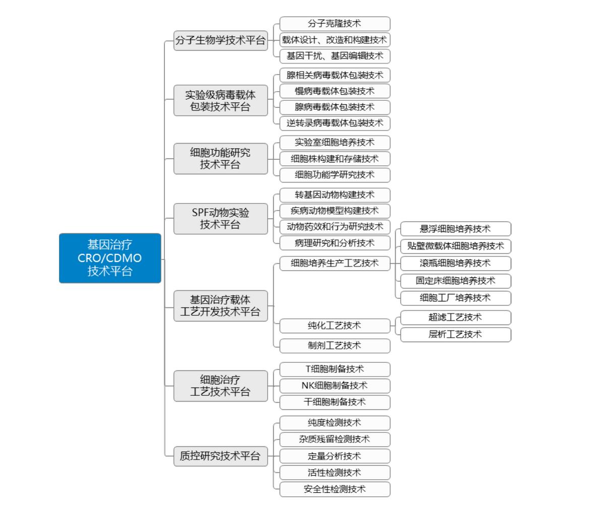 细胞疗法和基因疗法的区别,细胞和基因治疗最新方向