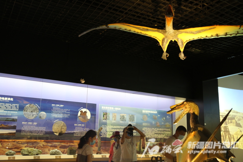 哈密博物馆体验馆,哈密市文博院