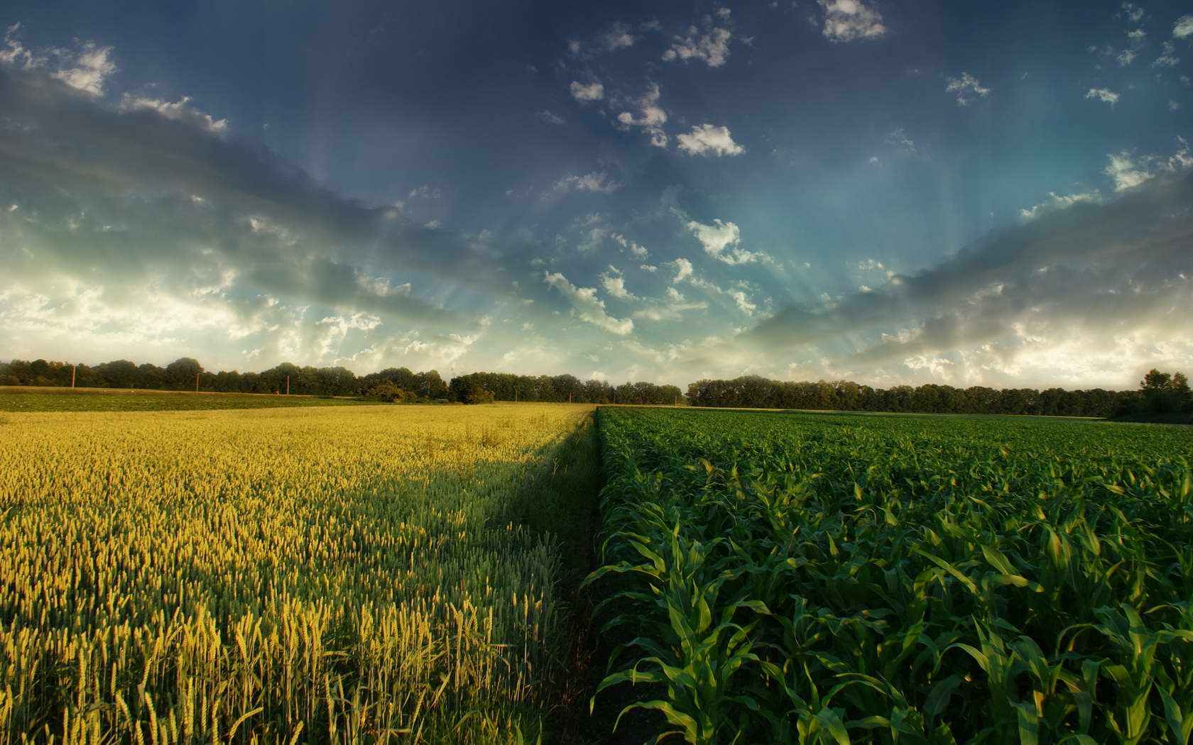 对付小人的8招,对付狡猾的小人该怎么办