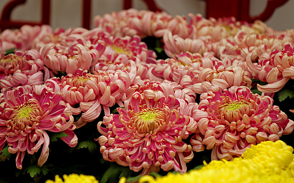 打100分的于姓名字,于姓朗朗上口的男孩名字大全