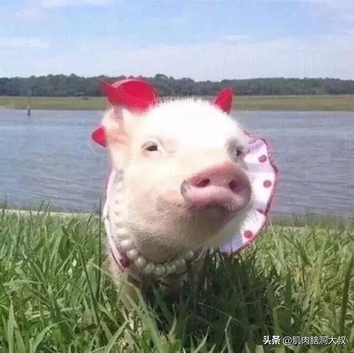 为什么有人频繁换微信头像,为什么总有人不断更换微信头像