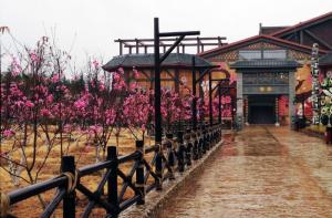 从上海到合肥有哪些自驾游景点,合肥到黄山周边自驾游推荐景点