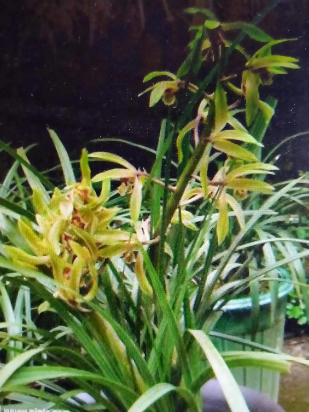 欢迎回到湖北随州文案,欢迎回到湖北随州