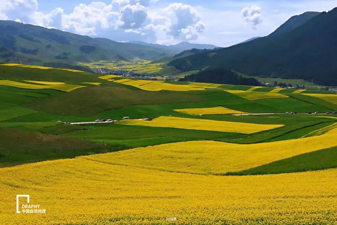 青海湖攻略2019,青海湖小环线自驾游最新攻略