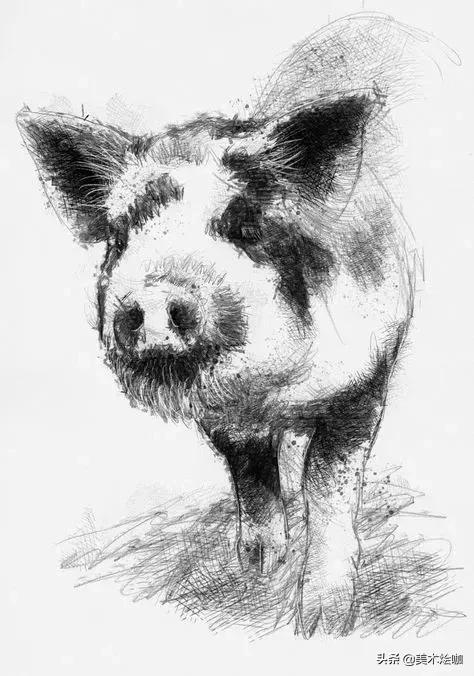 动物素描临摹装饰画,动物素描应该用哪些笔