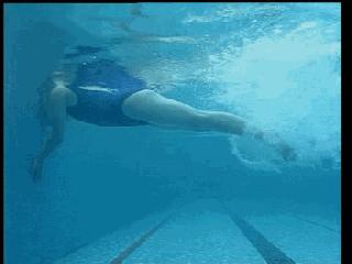 蛙泳的六大腿部错误纠正,儿童蛙泳腿部全套慢动作教学视频